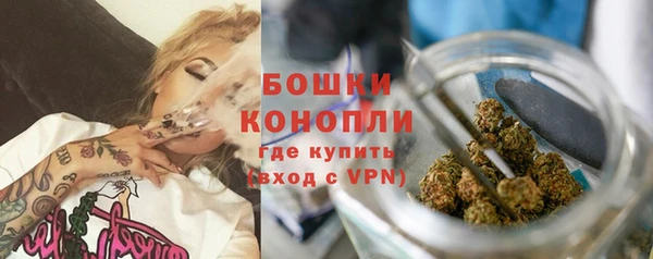 соль ск Арсеньев