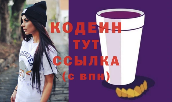 соль ск Арсеньев