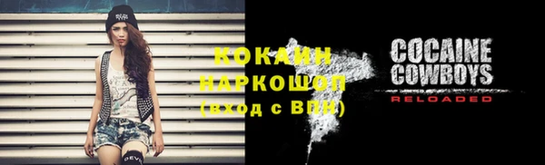 соль ск Арсеньев