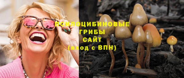 кокс Аркадак