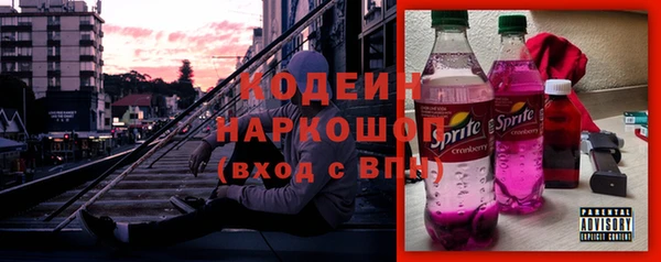 соль ск Арсеньев