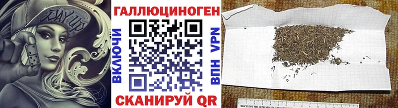 МЕГА как зайти  Аша  Галлюциногенные грибы Cubensis  дарнет шоп 